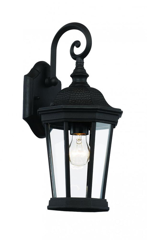 Trans Globe Westfield Hexagon Shaped Clear Glass Armed Model: 40400 BK