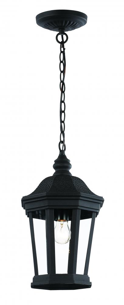 Trans Globe Westfield Hexagon Shaped Clear Glass Outdoor Model: 40405 BK