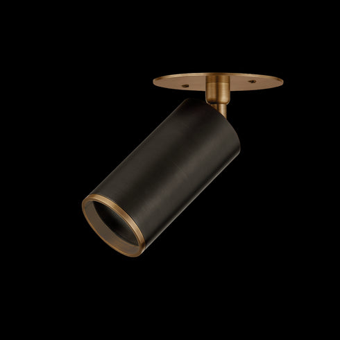 Troy Caleb Flush Mount in Patina Brass/Bronze Finish Model: C1305-PBR/BRZ