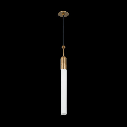 Troy Darby Pendant in Patina Brass Finish Model: F1405-PBR