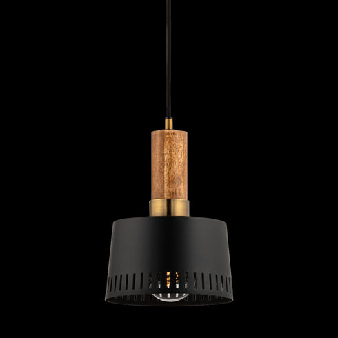Troy Memphis One Light Pendant Model: F8608-PBR/SBK