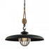 Troy Murphy Pendant in Forged Iron Finish Model: F4907-FOR