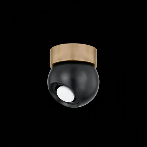 Troy Odin Flush Mount in Patina Brass/Soft Black Finish Model: C1406-PBR/SBK