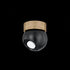 Troy Odin Flush Mount in Patina Brass/Soft Black Finish Model: C1406-PBR/SBK