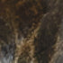 Troy Vishal Wall Sconce in Black Patina Gold Finish Model: B2319-BPG
