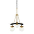 Varaluz Allie 3 Light Chandelier Blac Satin Brass Model: 352C03BLSB