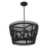 Varaluz Apollo 6 Light Pendant Carbon Model: 355P06SCB