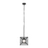 Varaluz Arcade 1 Light Pendant Carbon Model: 366P01CB