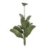 Varaluz Banana Leaf 12 Light Chandelier Banana Leaf Model: 901C12