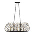 Varaluz Bask 6 Light Crystal Linear Pendant Matte Model: 271N06MBFG