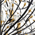 Varaluz Bask 6 Light Crystal Pendant Matte Blac Model: 271P06MBFG