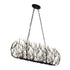 Varaluz Bask 8 Light Crystal Linear Pendant Matte Model: 271N08MBFG