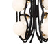 Varaluz Black Betty 12 Light Pendant Carbo French Model: 374P12CBFG