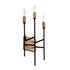 Varaluz Bodie 3 Light Ada Sconce Havana Gol Carbon Model: 314W03HGCB