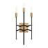 Varaluz Bodie 3 Light Ada Sconce Havana Gol Carbon Model: 314W03HGCB