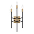 Varaluz Bodie 3 Light Ada Sconce Havana Gol Carbon Model: 314W03HGCB