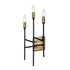 Varaluz Bodie 3 Light Ada Sconce Havana Gol Carbon Model: 314W03HGCB