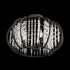 Varaluz Caesar 3 Light Semi Flush Carbon Model: 367S03CB
