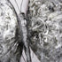 Varaluz Casa Flutter Black and White Mixed Media Wall Art Model: 4DWA0116