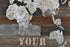 Varaluz Casa Wanderlust Rustic World Map Model: 4DWA0117