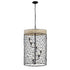 Varaluz Cayman 6 Light Foyer Black Model: 362F06BL
