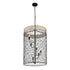 Varaluz Cayman 6 Light Foyer Black Model: 362F06BL