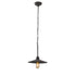 Varaluz Clayton 1 Light Pendant in Dark Coffee Model: 356M01DC