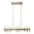 Varaluz Collette 12 Light Linear Pendant in Antique Brass Model: 357N12BB
