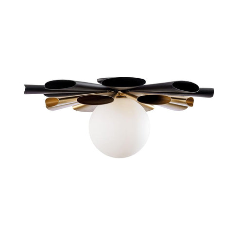 Varaluz Daphne 1 Light Convertible Flush Moun Sconce Model: 372S01LMBFG