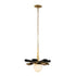 Varaluz Daphne 1 Light Medium Pendant Matte Blac Model: 372P01MMBFG