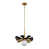 Varaluz Daphne 1 Light Medium Pendant Matte Blac Model: 372P01MMBFG
