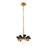 Varaluz Daphne 1 Light Small Pendant Matte Blac Model: 372P01SMBFG