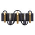 Varaluz Darden 2 Light Bath Matte Blac Antique Gold Model: 354B02MBAG