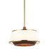 Varaluz Desert Flyer 3 Light Convertible Pendan Semi Flush Satin Bras Medium Walnut in Satin Brass/Medium Walnut Finish Model: 520P03SBW