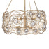 Varaluz Ethereal Rose 6 Light Chandelier in Havana Gold Ombre Model: 500C06HGOB