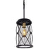Varaluz Harlequin 1 Light Pendant in Warm Bronze/Gold Finish Model: 612610