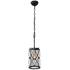 Varaluz Harlequin 1 Light Pendant in Warm Bronze/Gold Finish Model: 612610