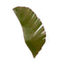 Varaluz in Banana Leaf 2 Light Sconce Model: 901K02