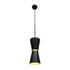 Varaluz Mad Hatter 2 Light Pendant Matte Blac Model: 390P02MBFG