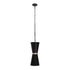 Varaluz Mad Hatter 2 Light Pendant Matte Blac Model: 390P02MBFG
