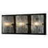 Varaluz Morgan 3 Light Bath Black Model: 376B03BL