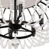 Varaluz Voliere 6 Light Semi Flush Matte Black Model: 343S06MB