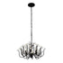 Varaluz Wildflower 6 Light Chandelier Matte Black Model: 378C06MB