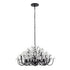 Varaluz Wildflower 8 Light Chandelier Matte Black Model: 378C08MB