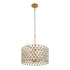 Varaluz Winsor Windsor 6 Light Crystal Pendant French Gol Model: 345P06FGMB