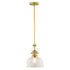 Vaxcel Beloit 9 in. W Mini Pendant in Brushed Gold Model: P0429