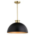 Vaxcel Devon 16 in. Pendant in Matte Black and Satin Brass Model: P0412