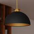 Vaxcel Devon 16 in. Pendant in Matte Black and Satin Brass Model: P0412