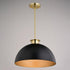 Vaxcel Devon 16 in. Pendant in Matte Black and Satin Brass Model: P0412