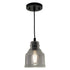 Vaxcel Millie 8.25 in.H Mini Pendant in Matte Black with Smoke Glass Model: P0378